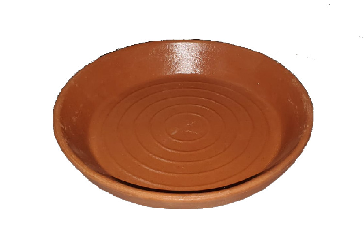 Plato Rscurridor
